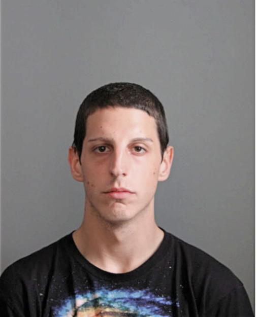 MICHAEL A VERDUIN, Cook County, Illinois
