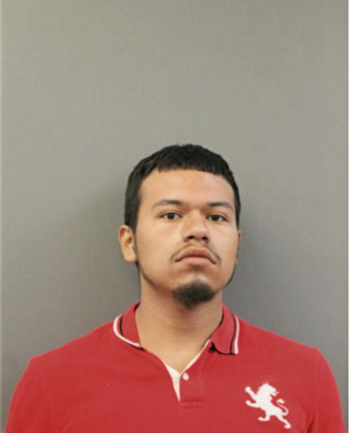 BRYAN VIELMA-ALVAREZ, Cook County, Illinois