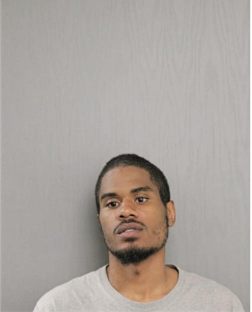 NICHOLAS T WILSON, Cook County, Illinois
