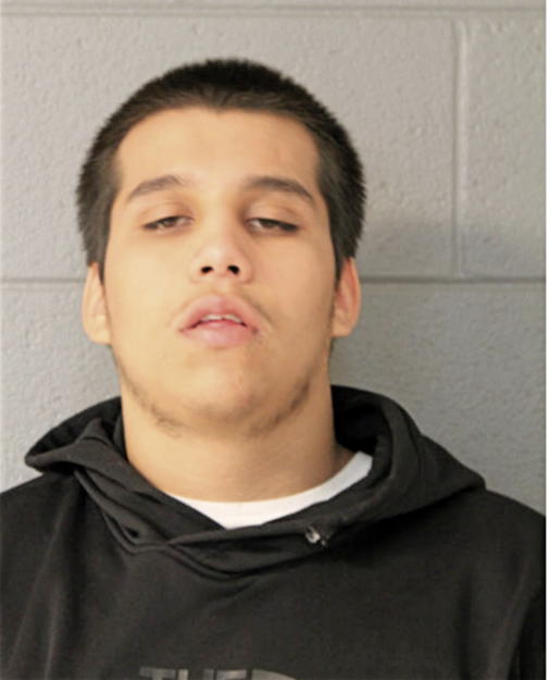 ALLAN D ALARCON, Cook County, Illinois