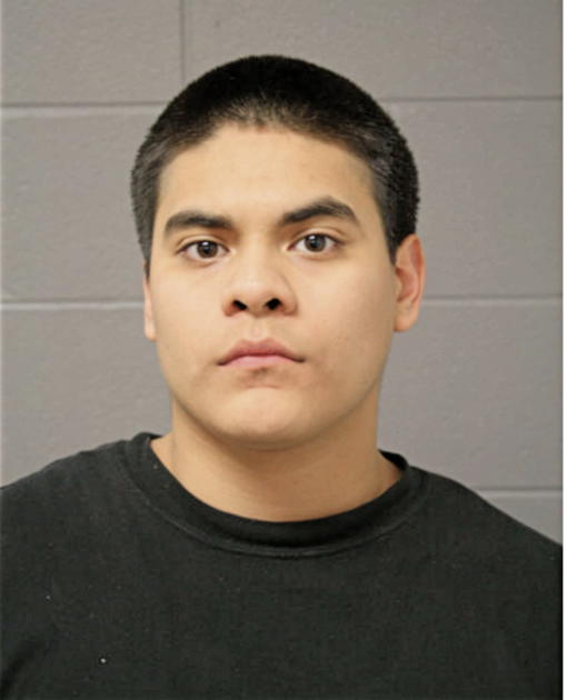 CHRISTIAN D CAMARENA, Cook County, Illinois