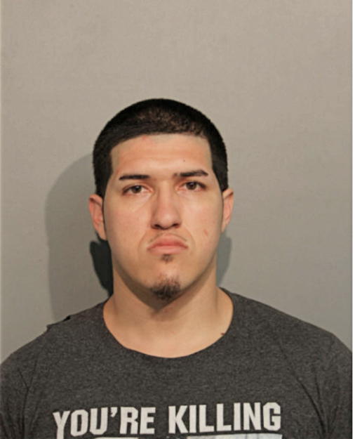 FERNANDO T COBB, Cook County, Illinois