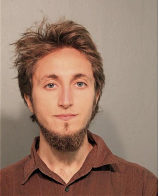 VELJKO DIMITRIJEVIC, Cook County, Illinois