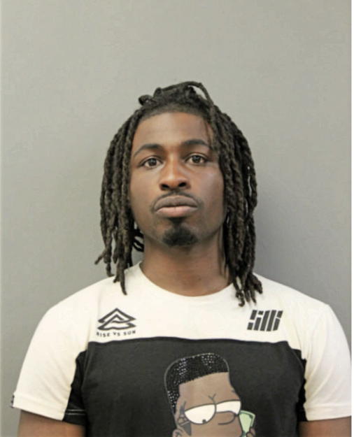 DARIUS J ELLIS, Cook County, Illinois