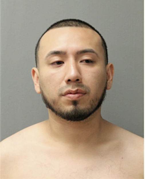 VICTOR M FLORES, Cook County, Illinois
