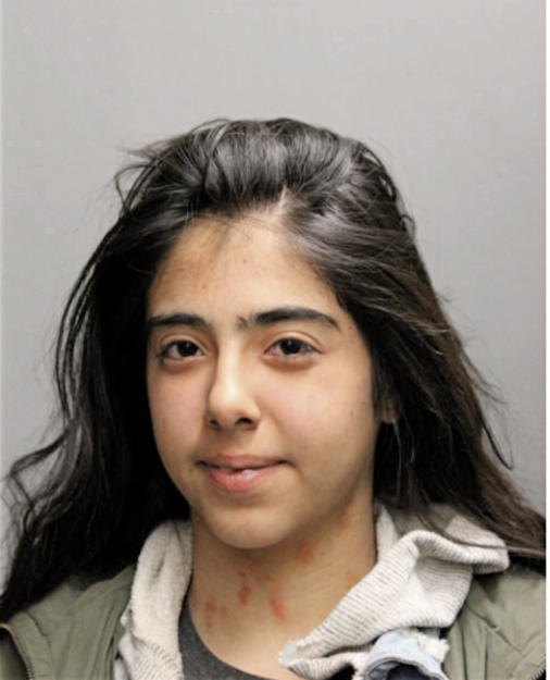 FLOR GARCIA, Cook County, Illinois