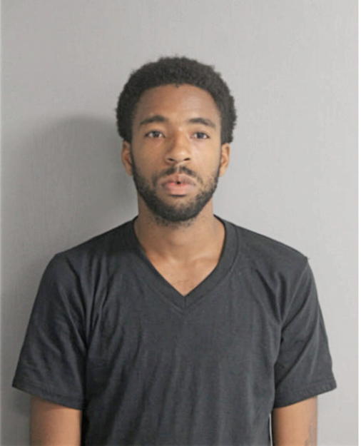 BRUCE B GERMAN, Cook County, Illinois