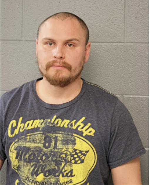 STEFAN GIMINSKI, Cook County, Illinois