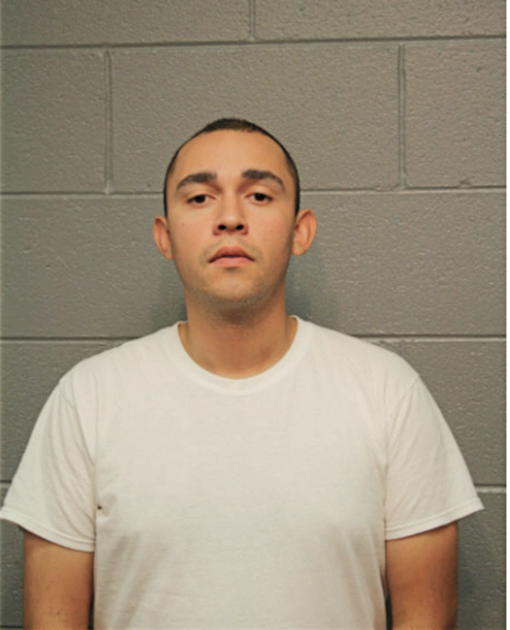 GABRIEL J GONZALEZ, Cook County, Illinois