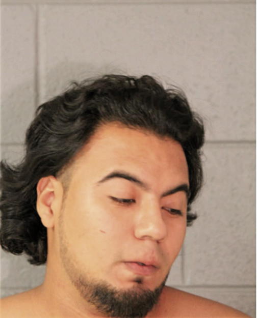 RICARDO GONZALEZ, Cook County, Illinois