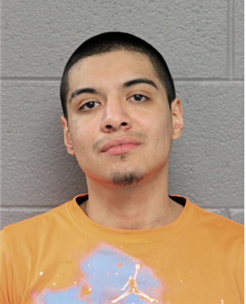 DANIEL J HERNANDEZ, Cook County, Illinois
