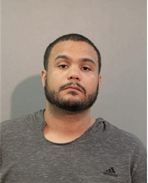 BRANDON R HILL, Cook County, Illinois