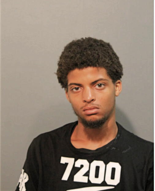 ERIQ N HOLLIMAN, Cook County, Illinois