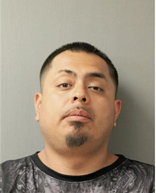 ADRIAN LAGUNAS, Cook County, Illinois