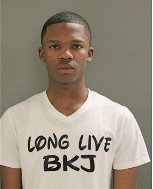 TERRIN E LEE, Cook County, Illinois