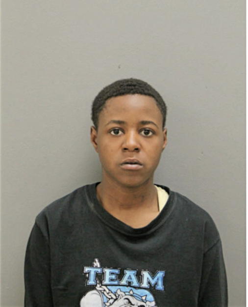 YVETTE M LEWIS, Cook County, Illinois
