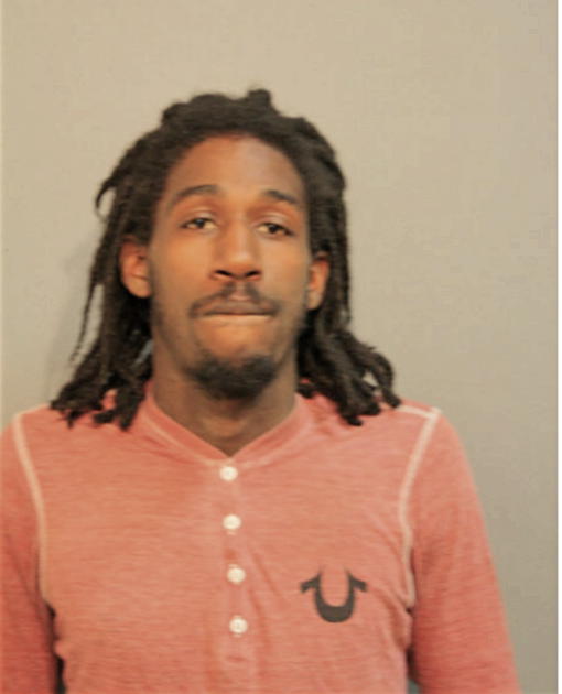 DAVID A MCDONALD, Cook County, Illinois