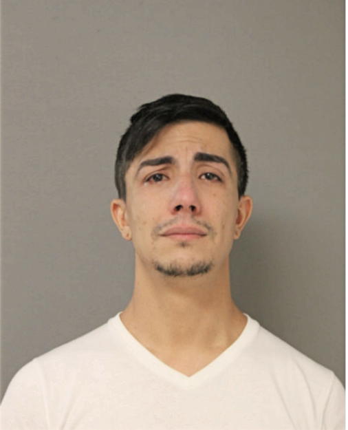 FRANKLIN MENDES-MCALLISTER, Cook County, Illinois