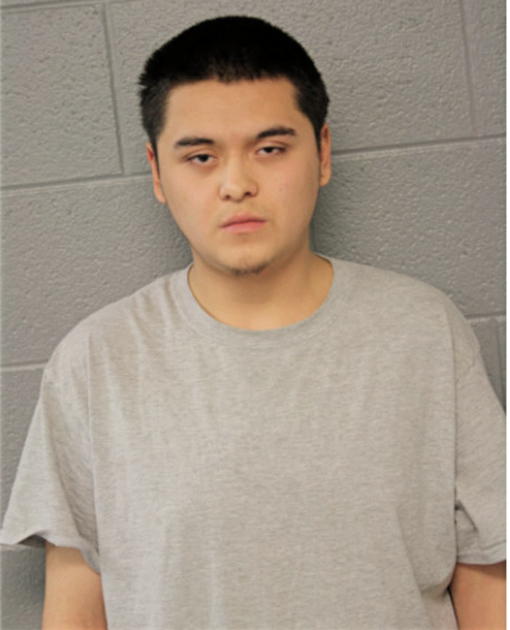 MIGUEL RAMIREZ, Cook County, Illinois