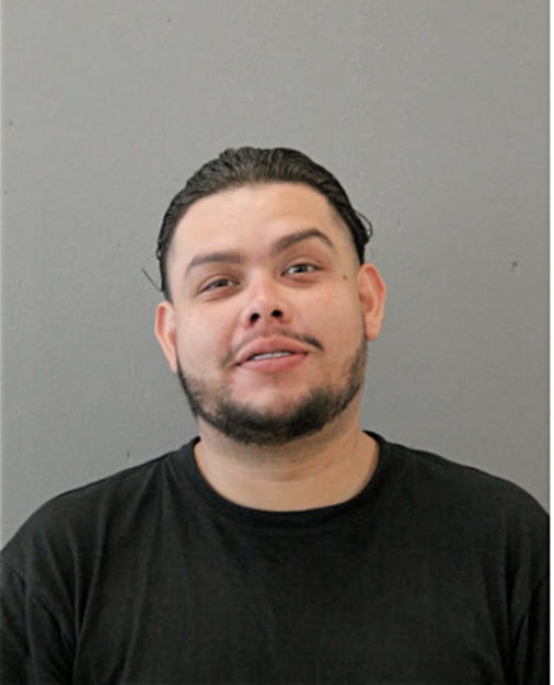 LUIS E REYES, Cook County, Illinois