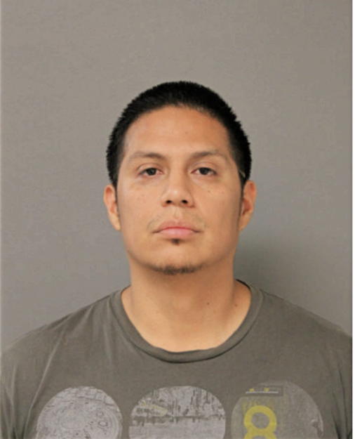 LUIS E ROMERO, Cook County, Illinois