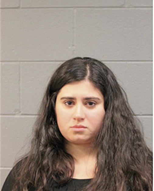 ZAIDOVA A SHABNAM, Cook County, Illinois