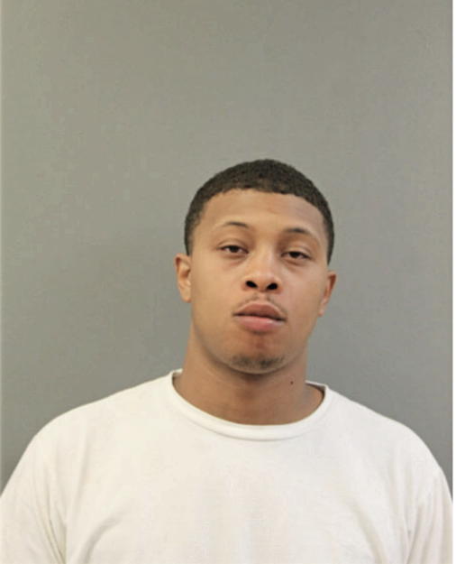KENNETH X AKERSON, Cook County, Illinois