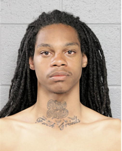 DONYELL A AUSTIN, Cook County, Illinois