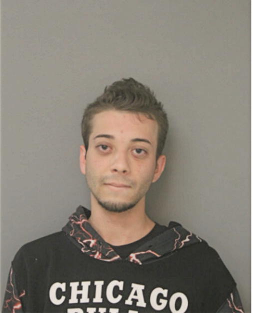 FABIAN AVILES, Cook County, Illinois