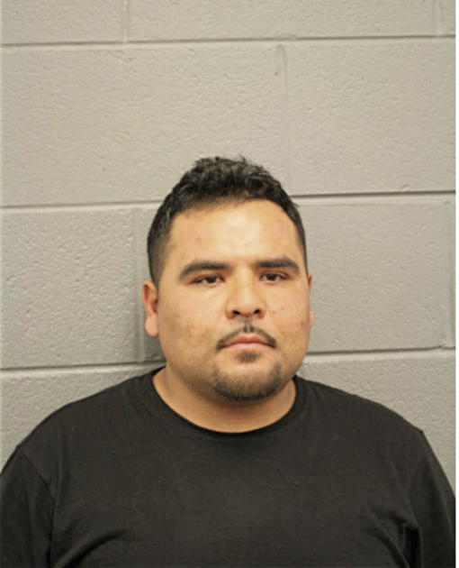 JUAN A CAMARGO, Cook County, Illinois