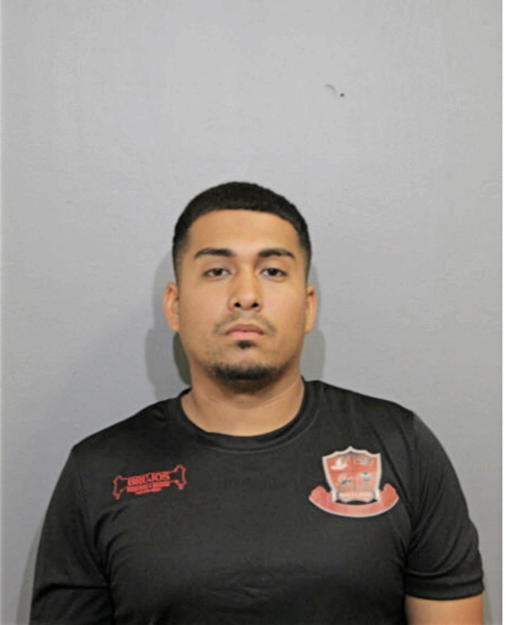 MIGUEL A DELGADO, Cook County, Illinois