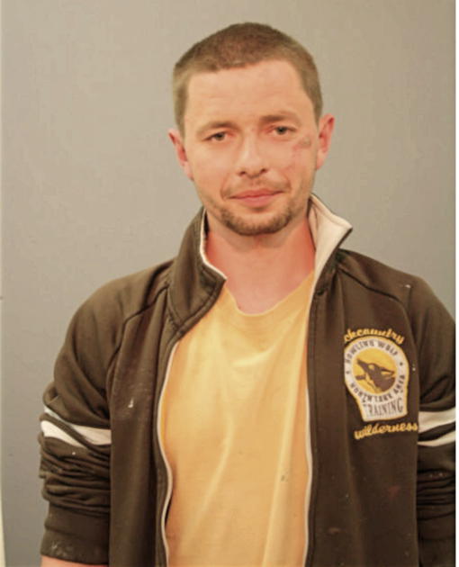 STANISLAW DZIEDZIC, Cook County, Illinois