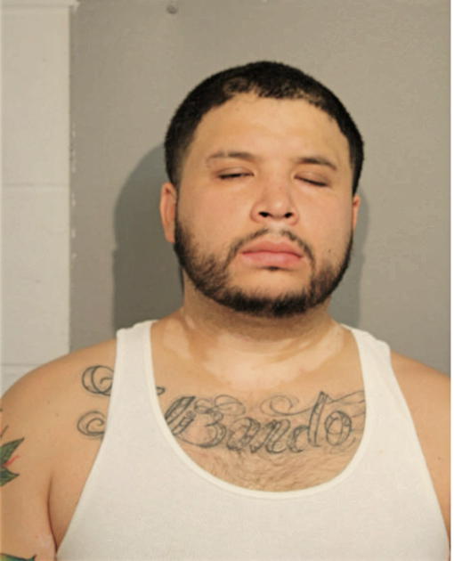FIDEL D ELIZONDO, Cook County, Illinois