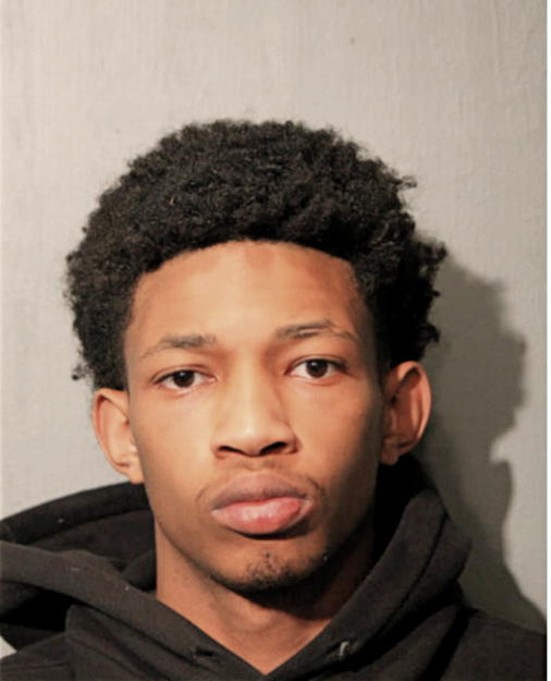 DEVIN FLEMING, Cook County, Illinois