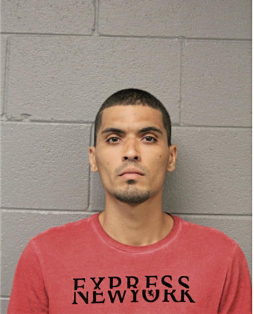 FRANCISCO GONZALEZ, Cook County, Illinois