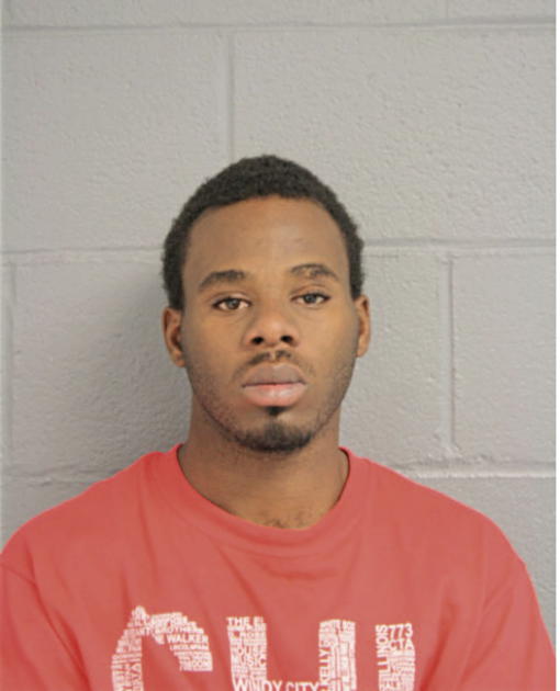 JOSEPH T GOWDY, Cook County, Illinois