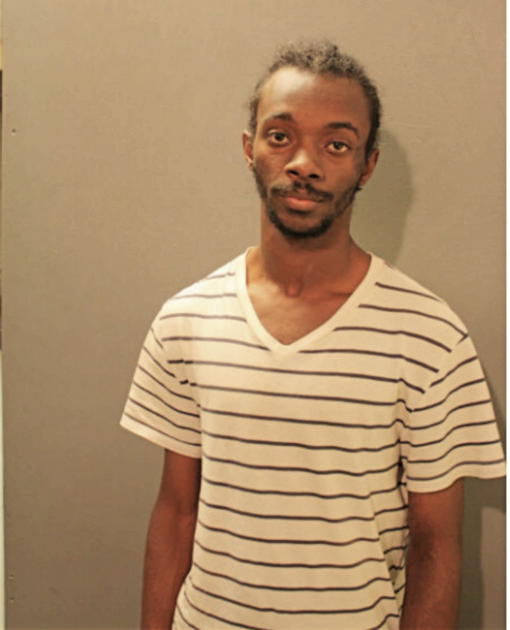 MICHAEL L JOHNSON, Cook County, Illinois