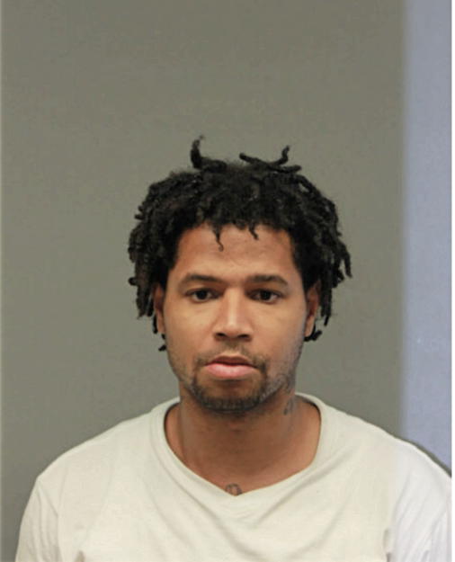 MARK S MCGOWAN, Cook County, Illinois