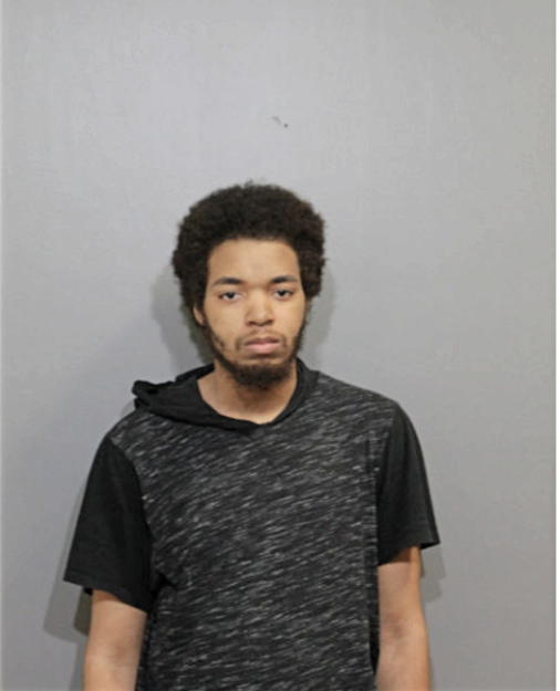 BLAKE A MITCHELL, Cook County, Illinois