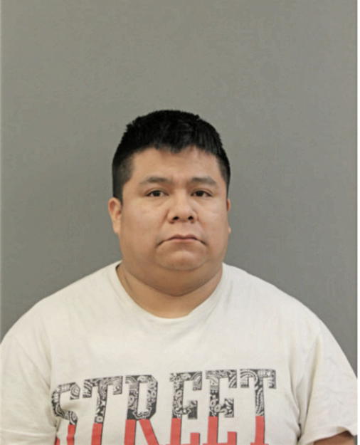JULIAN NEVARES, Cook County, Illinois