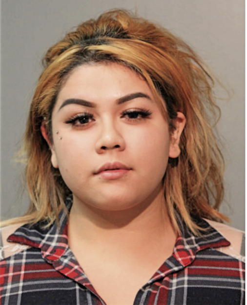 ITZEL REYES, Cook County, Illinois