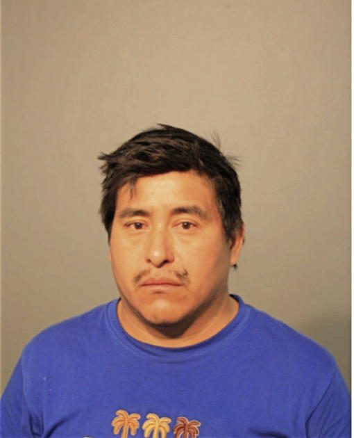 ALFONSO SALDANA, Cook County, Illinois