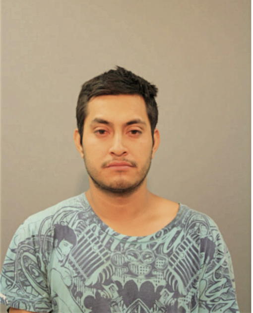 JOSE SOLEDAD SANTANA, Cook County, Illinois