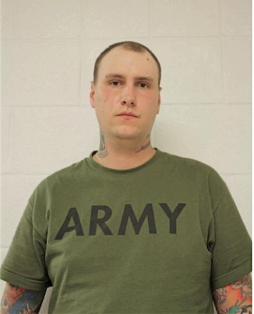 DANIEL T SCHMIDT, Cook County, Illinois