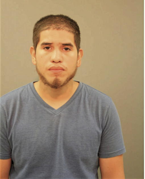 LUISMAR TAPIA, Cook County, Illinois