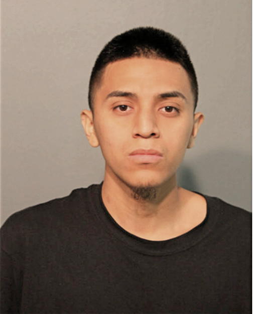 JUAN A VILLA, Cook County, Illinois