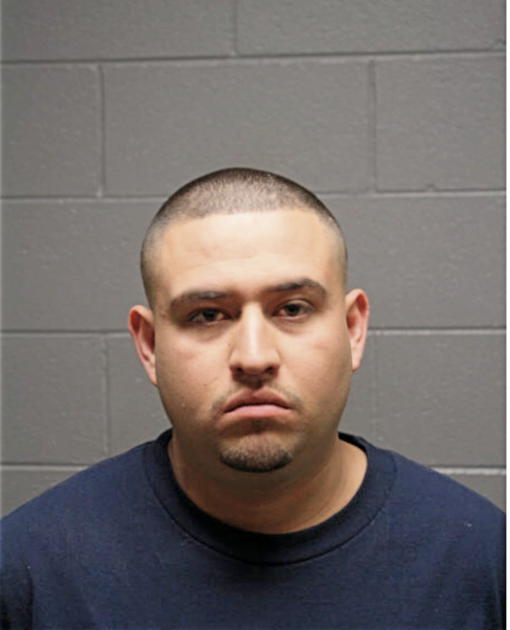 JESUS VILLAGOMEZ, Cook County, Illinois