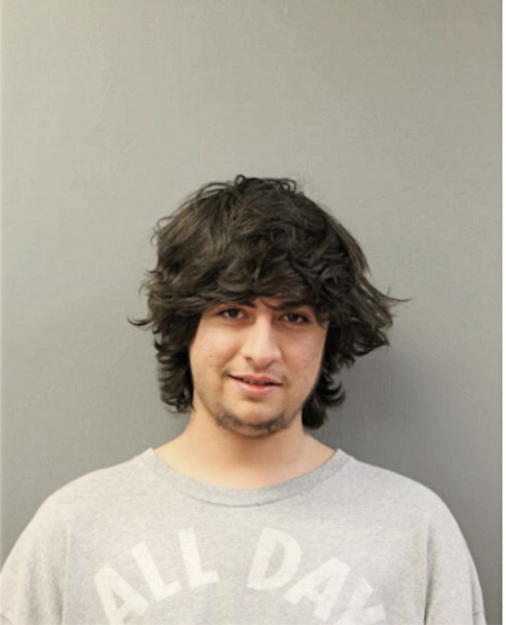 JOEL ALDAMA, Cook County, Illinois