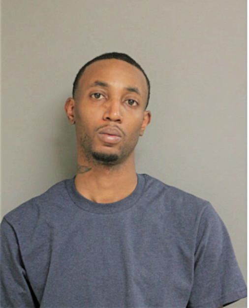 WALTER D AMMONS, Cook County, Illinois