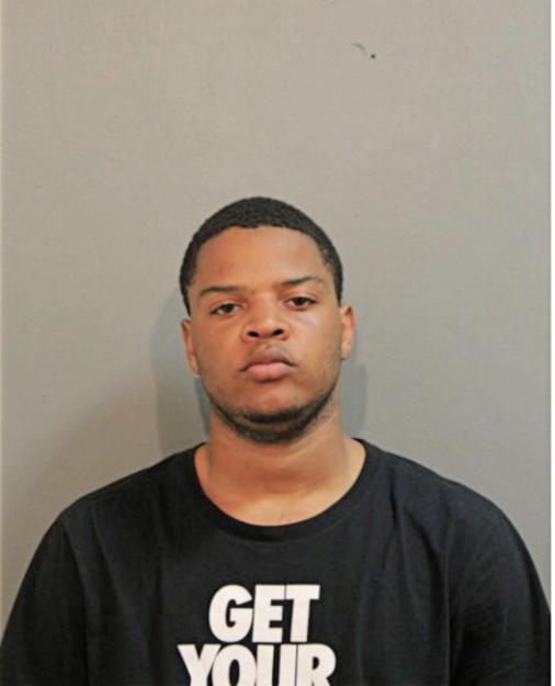 JULIAN T ASH, Cook County, Illinois